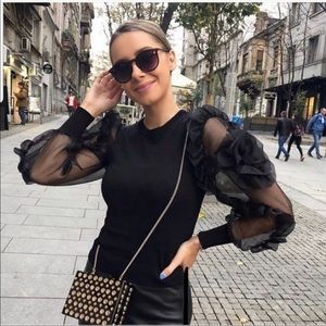 Zara organza long sleeve top